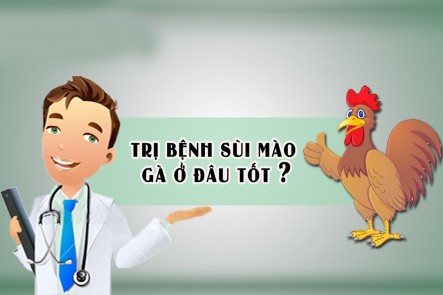 PHƯƠNG PHÁP CHỮA SÙI MÀO GÀ HIỆU QUẢ
