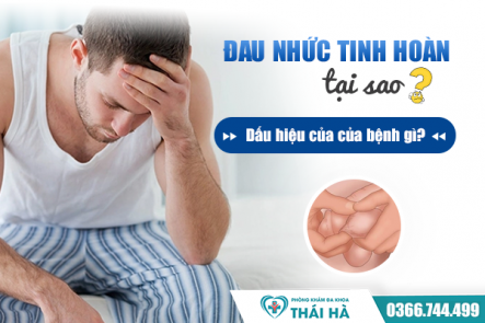 Đau nhức tinh hoàn tại sao? Dấu hiệu của của bệnh gì?