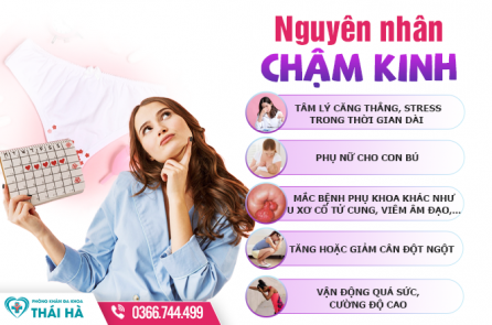 Chậm Kinh 4 Tuần Thai Được Mấy Tuần Tuổi? Phương Pháp Kiểm Tra Thai Nhanh Chóng, Chính Xác